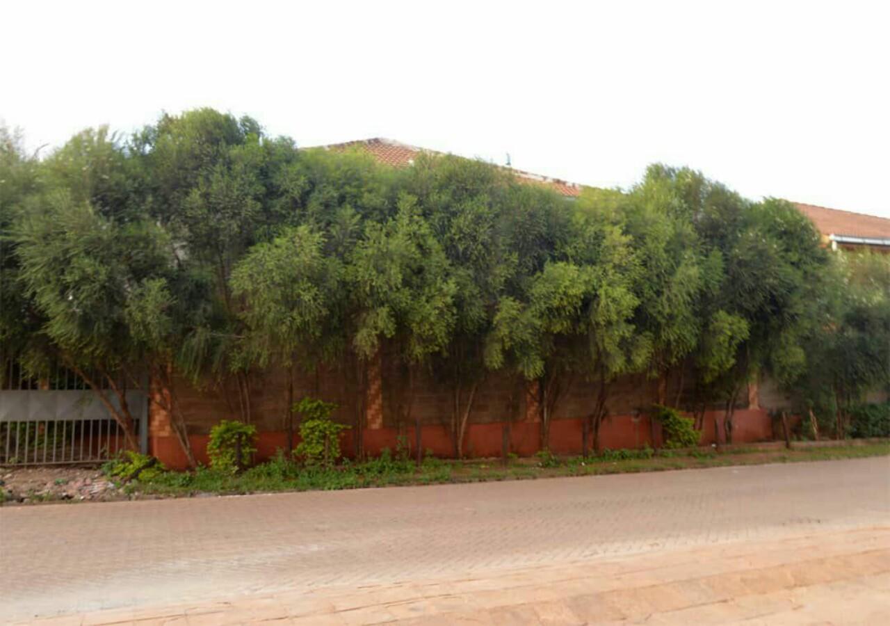 Nemadek Royal Park Daire Nairobi Dış mekan fotoğraf